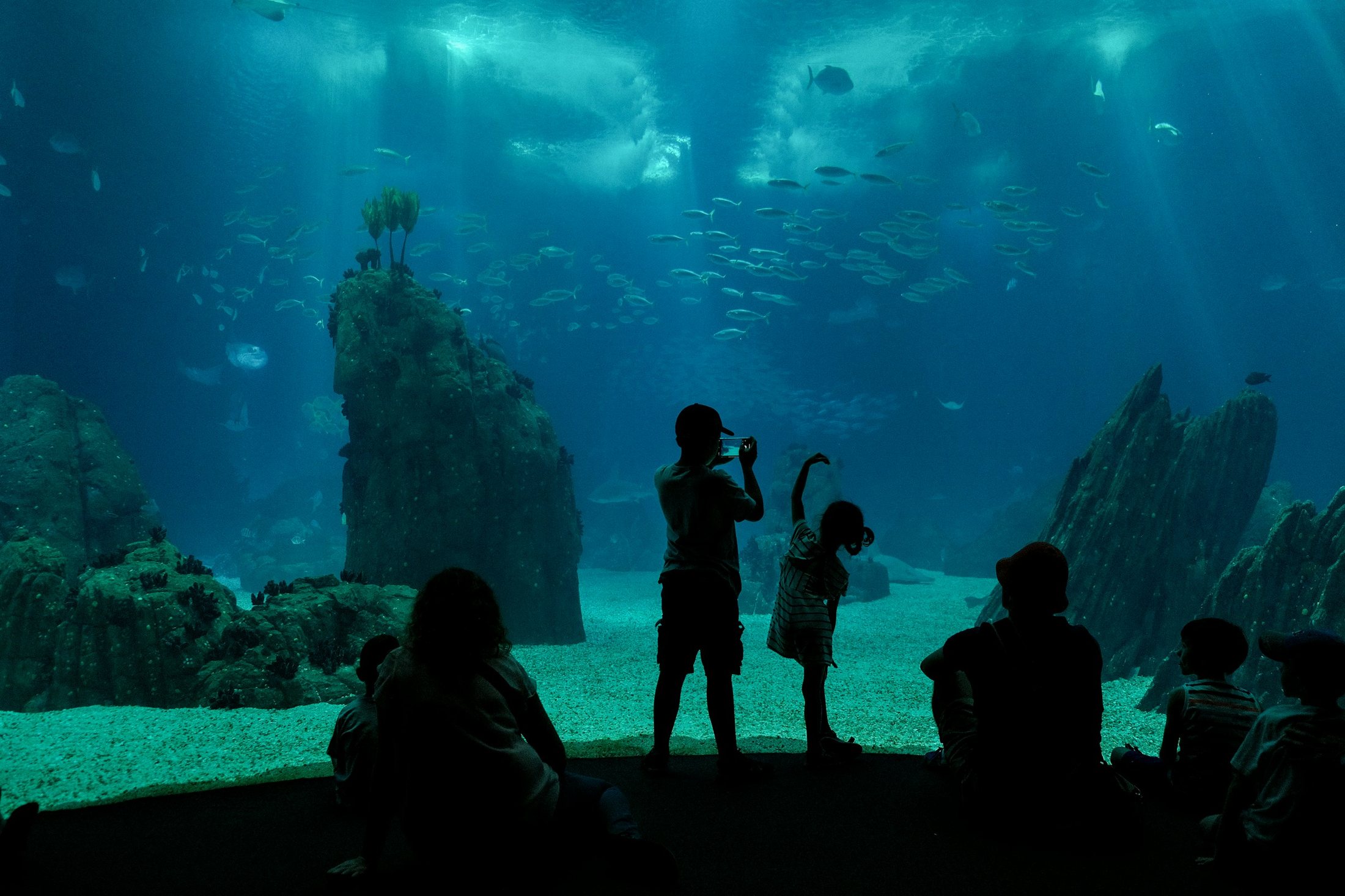 Aquarium & LSS — Public Aquariums · Life Support Systems