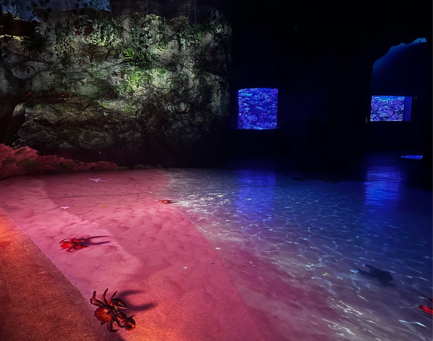 Immersive dark cave exhibit with crab features and illuminated reef windows at BX Sea, Jakarta