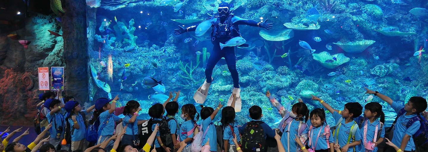 BX Sea Aquarium Jakarta — diver in the giant reef tank