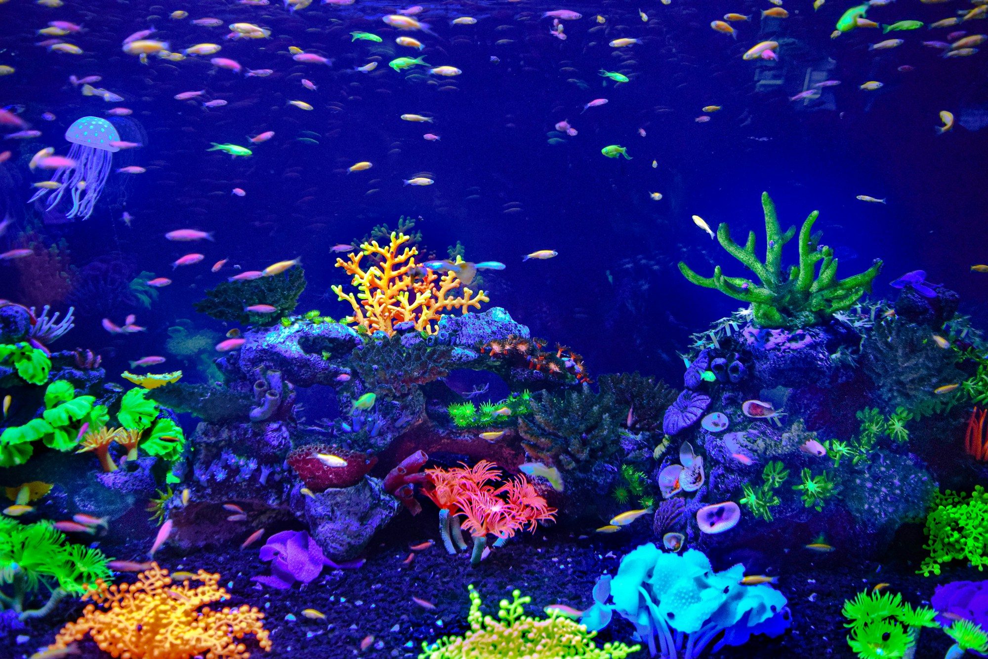 ADEC / Dekor Safari aquarium decoration