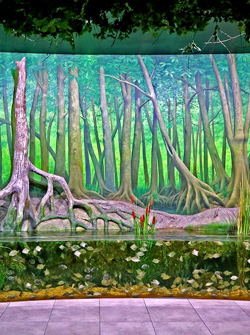 ADEC / Dekor Safari aquarium decoration