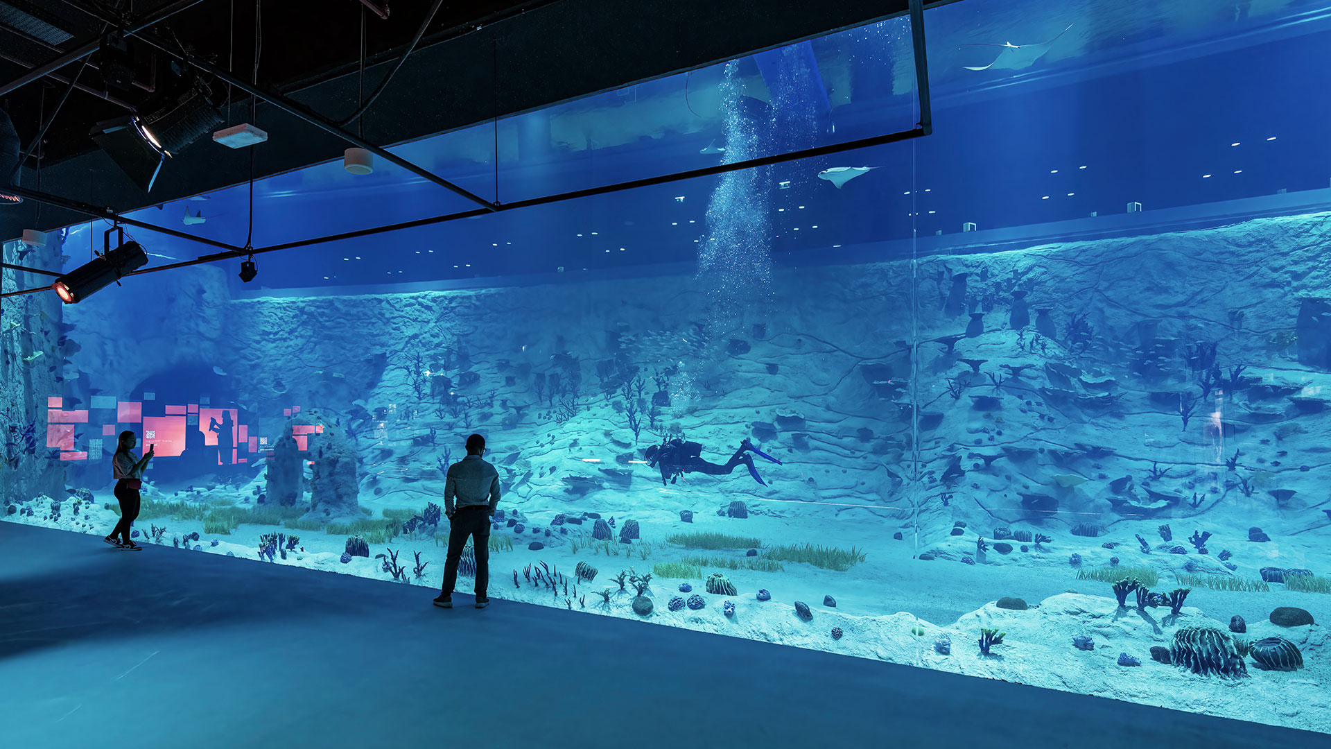 Old Doha Port Aquarium — immersive marine exhibit in Doha, Qatar