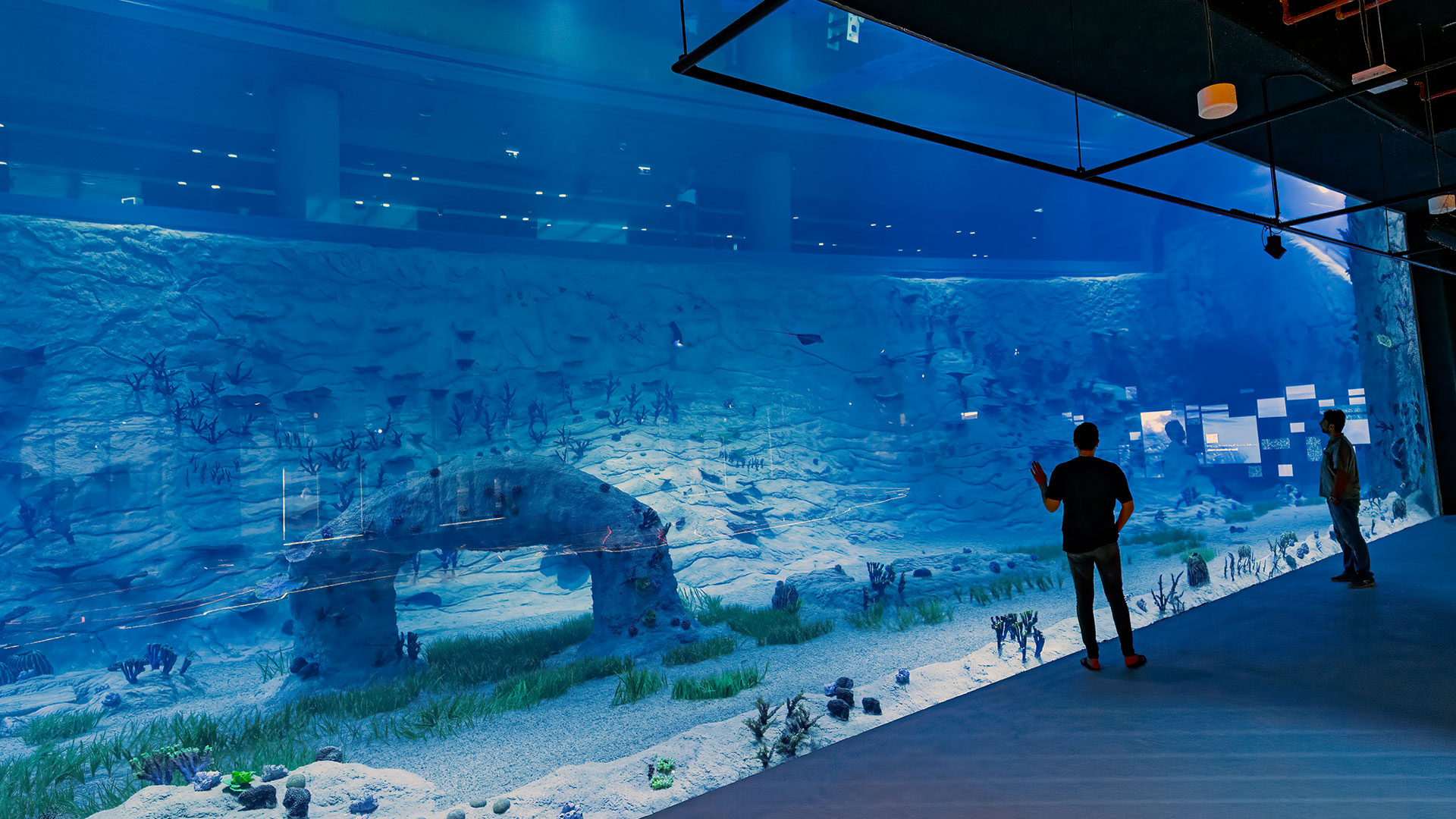 Immersive themed reef exhibit with rockwork at Old Doha Port Aquarium, Doha
