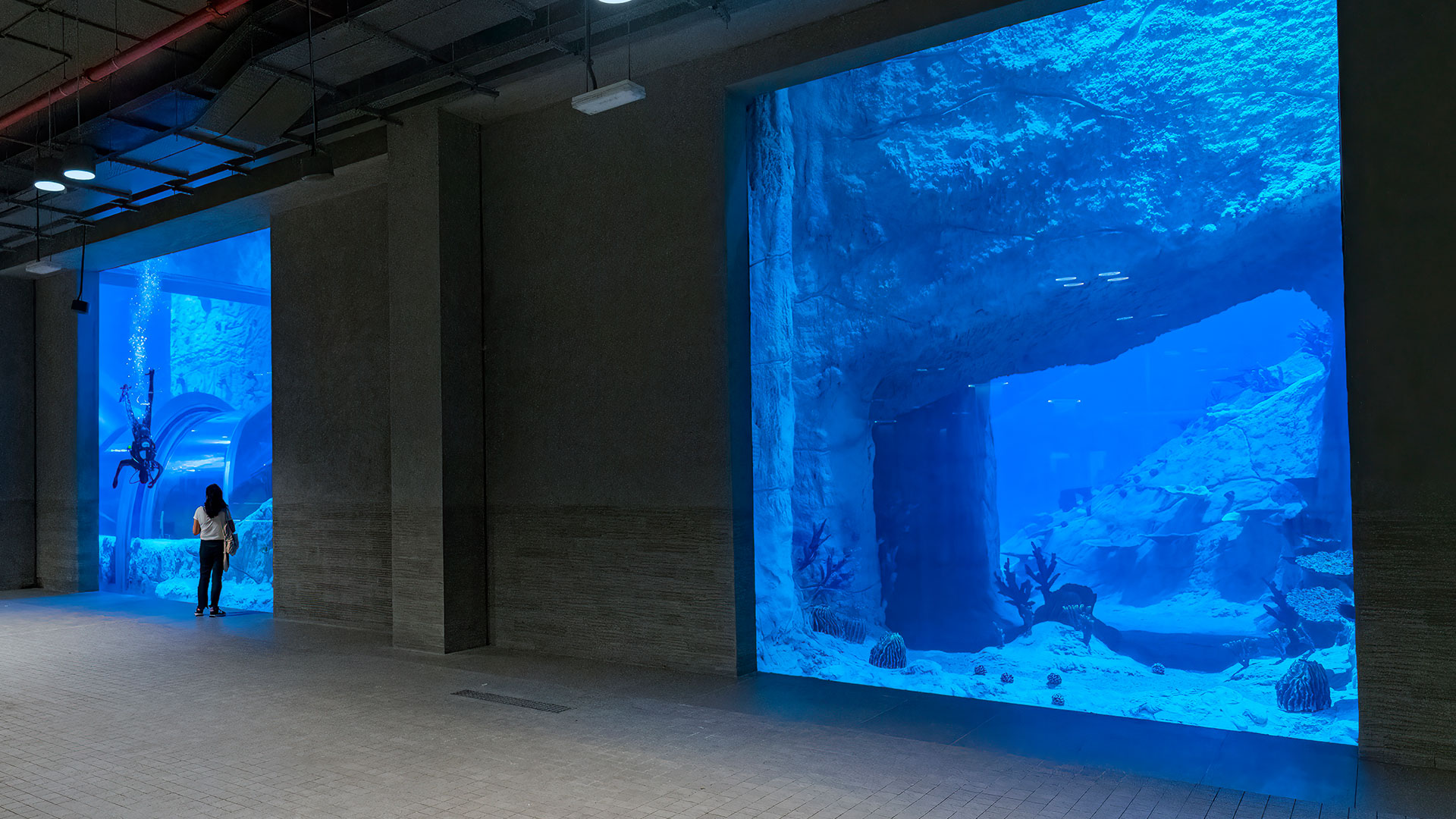 Underwater tunnel and reef exhibit viewing windows at Old Doha Port Aquarium, Qatar