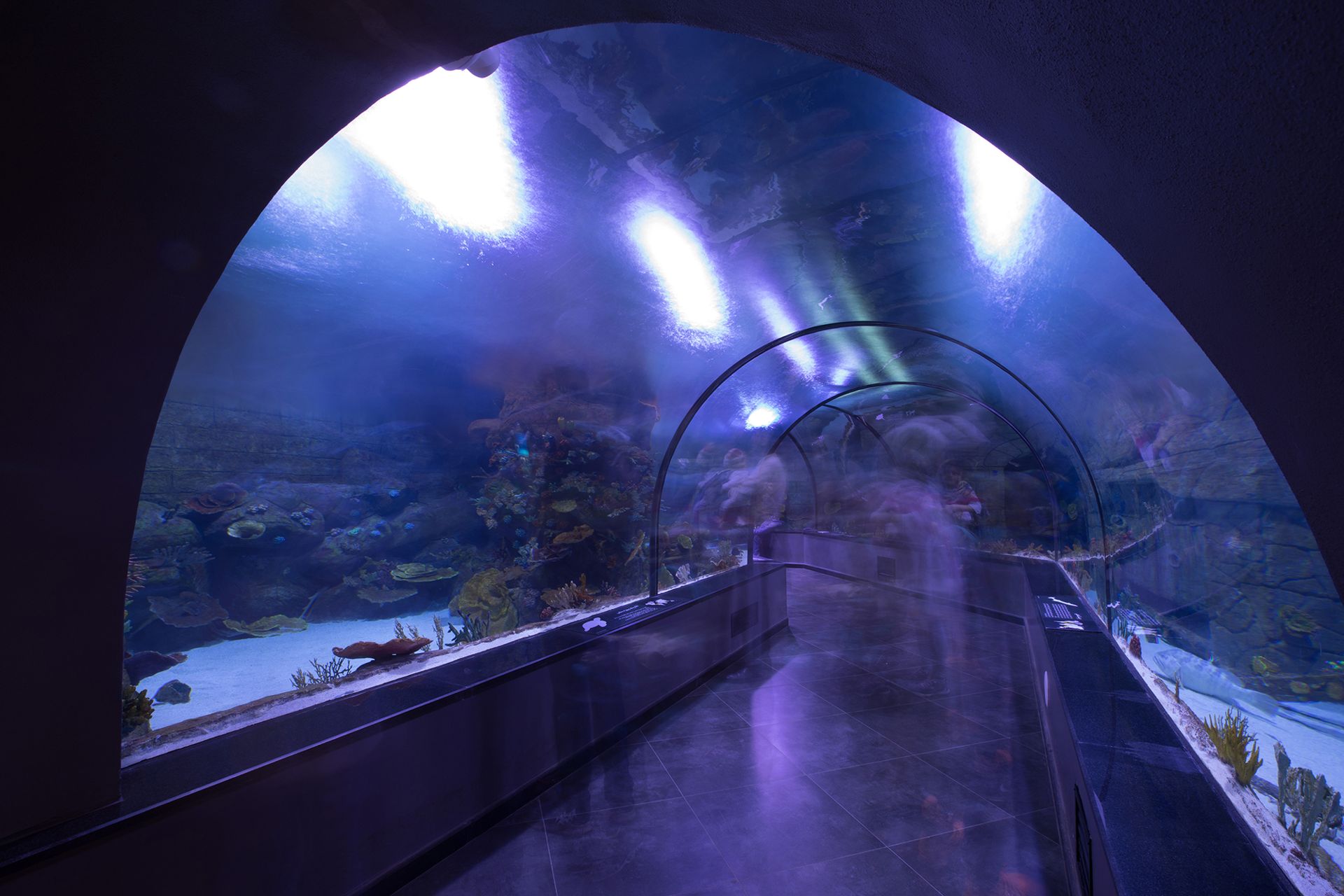 Blue acrylic walkthrough tunnel with light rays at Funtastic Anzali, Iran