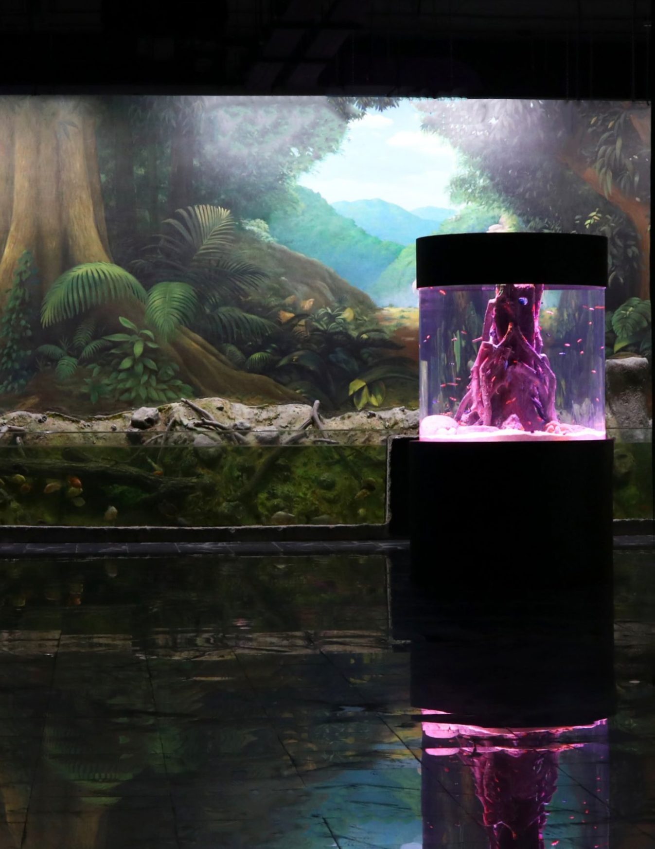 Rainforest-themed freshwater exhibit with a painted jungle backdrop and an illuminated display tank at Isfahan Aquarium, Iran