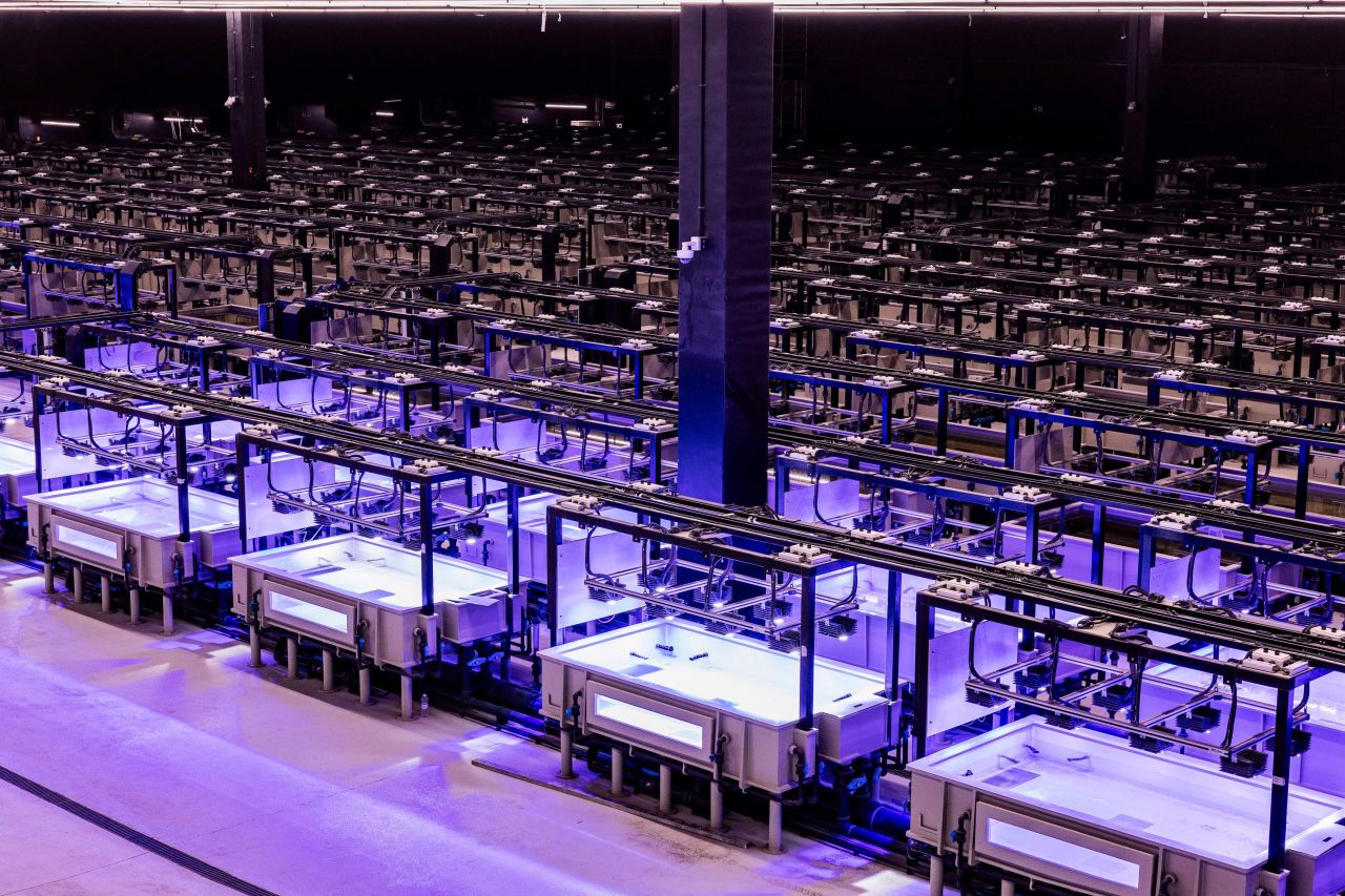 KAUST Coral Restoration Initiative — land-based coral nursery
