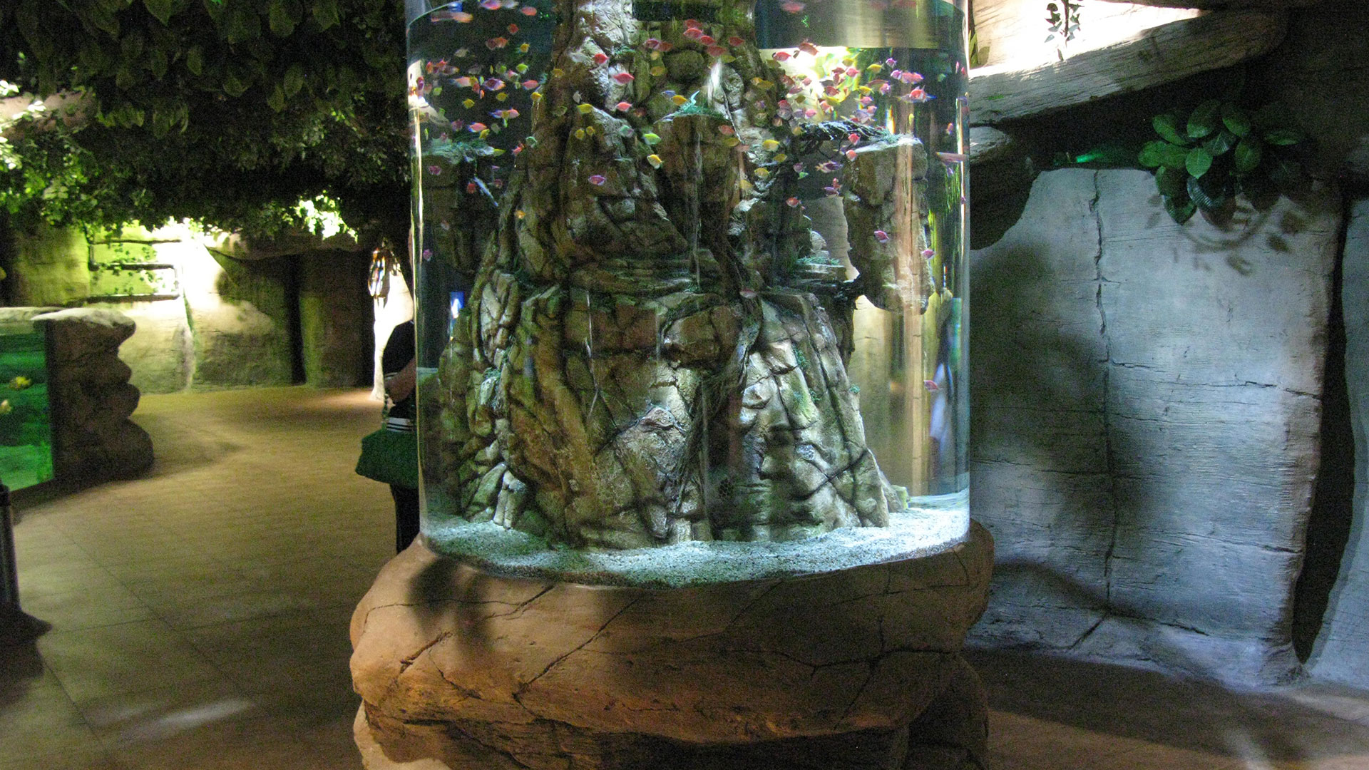 Jungle-themed cylindrical column tank with rockwork at Magic City Aquarium, Tashkent