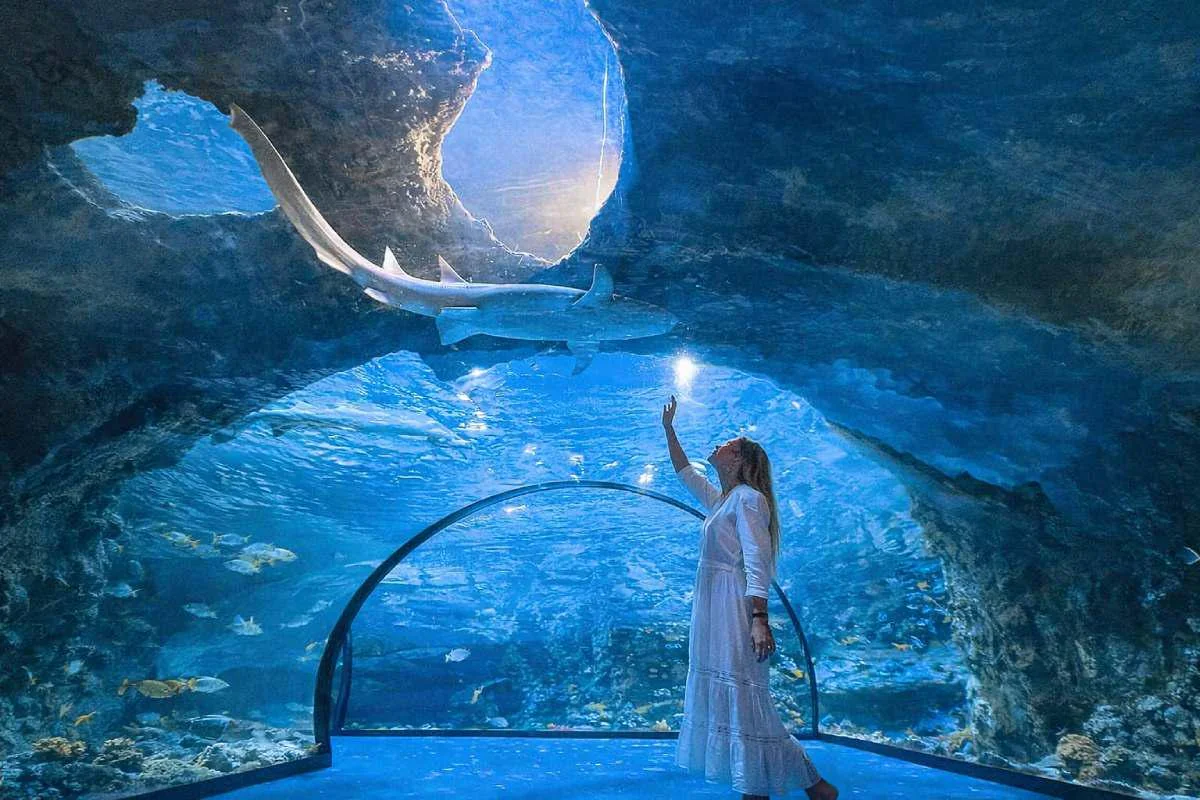 Visitor in the underwater tunnel at The National Aquarium Abu Dhabi