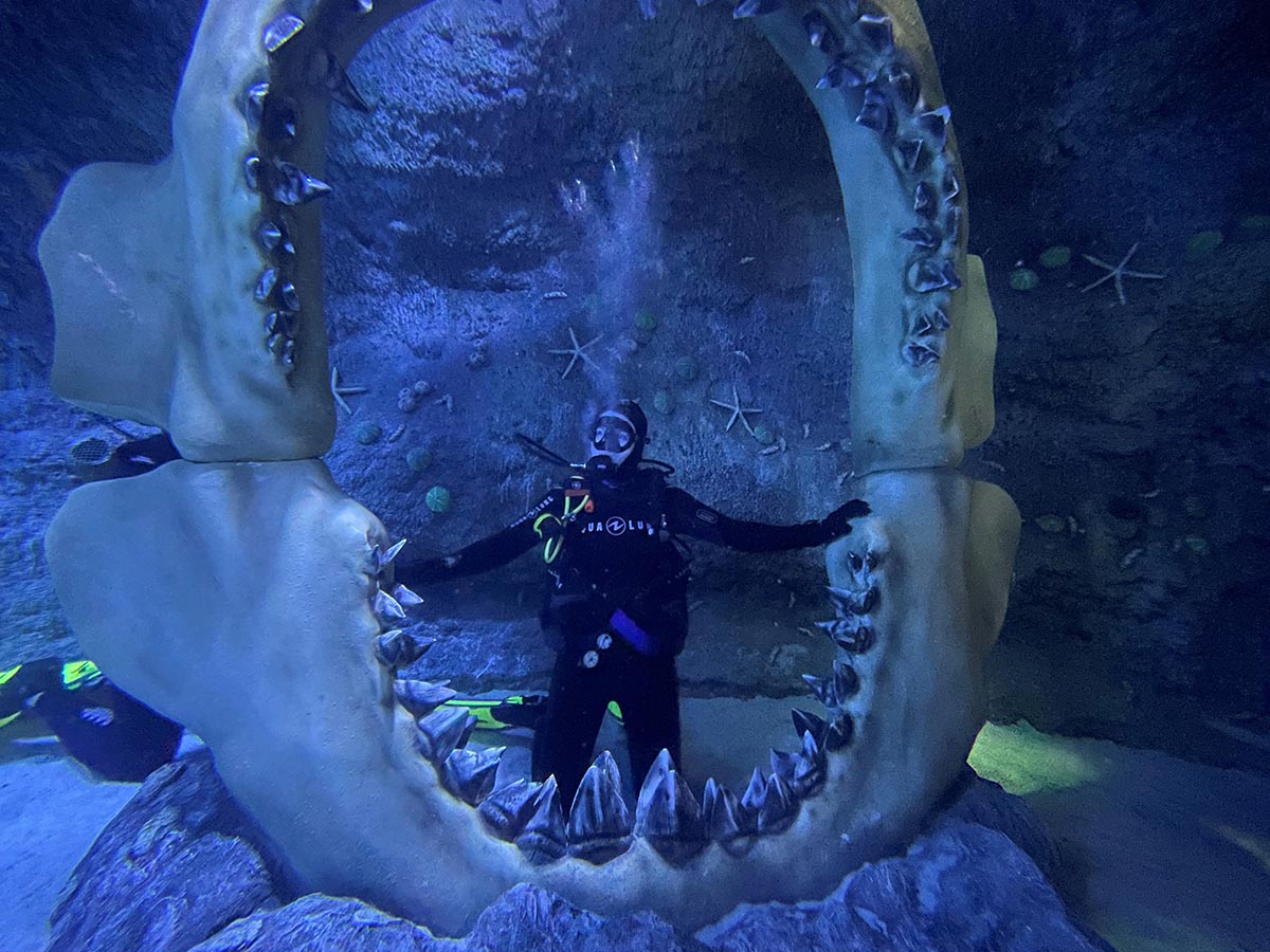 Diver inside the giant megalodon jaw exhibit at The National Aquarium Abu Dhabi