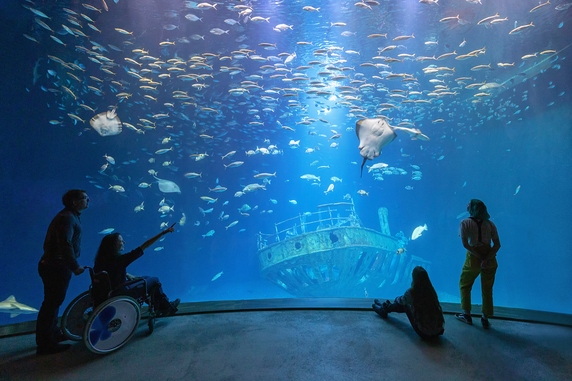 OZEANEUM Stralsund — Open Atlantic tank with shipwreck