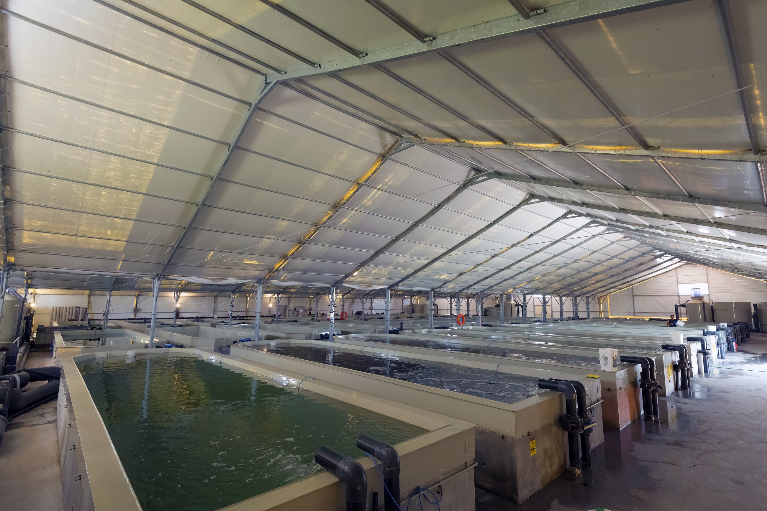 ADEC Milas operating land-based RAS facility