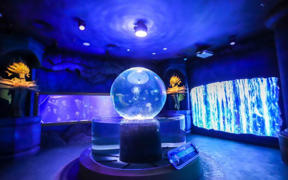 Themed jellyfish exhibit with glowing spherical tank at Sea Shell Aquarium, Phu Quoc