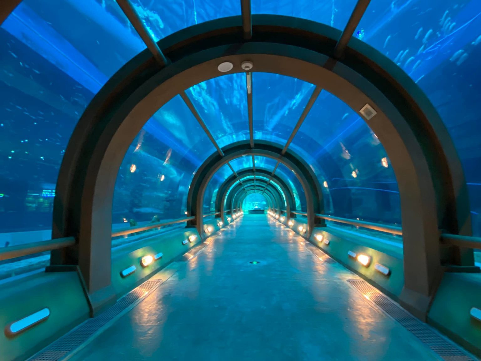 Arched underwater acrylic tunnel at Sea Shell Aquarium, Phu Quoc, Vietnam
