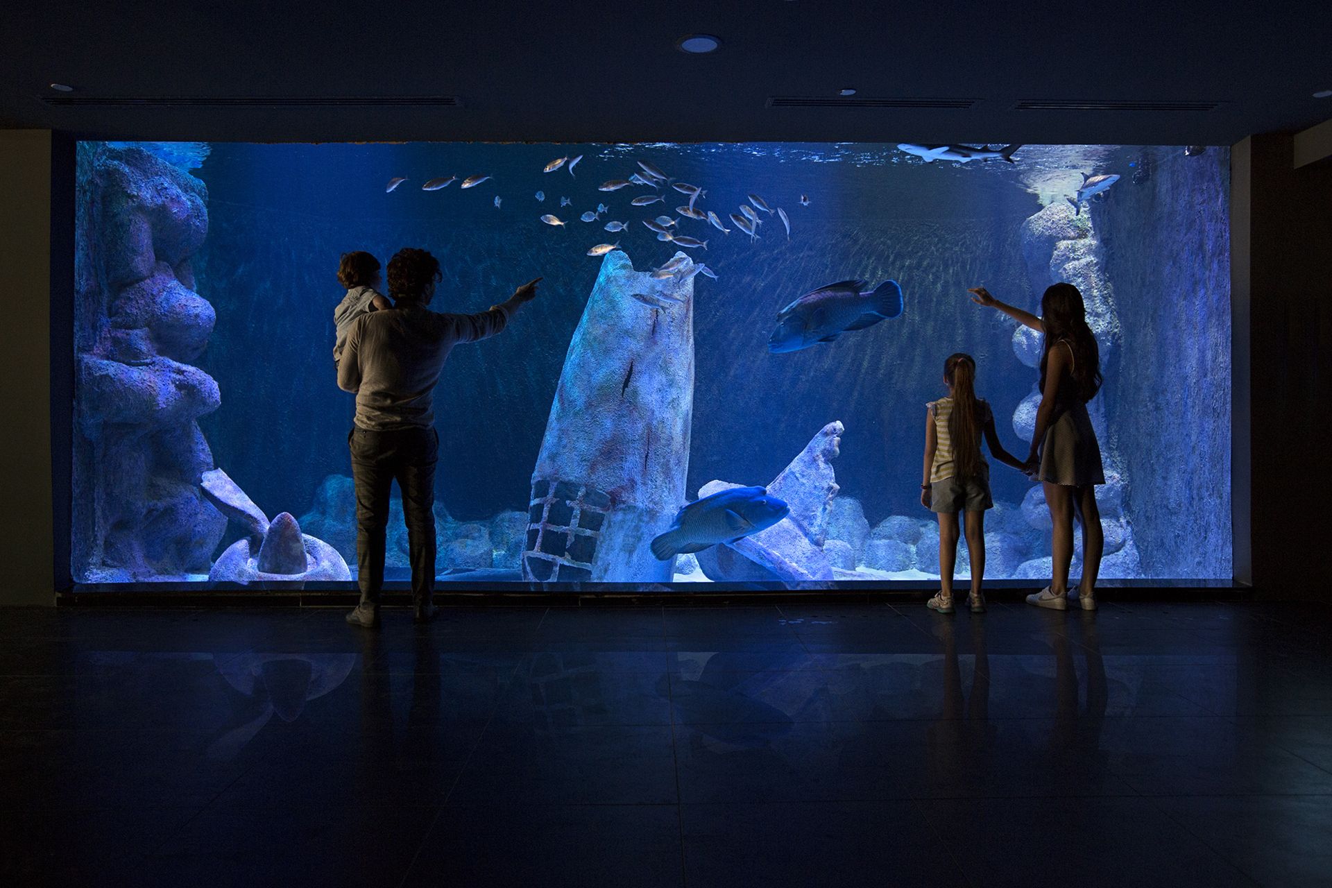 Family viewing the large ocean tank with a sunken shipwreck mast at Via Sea Aquarium, Istanbul
